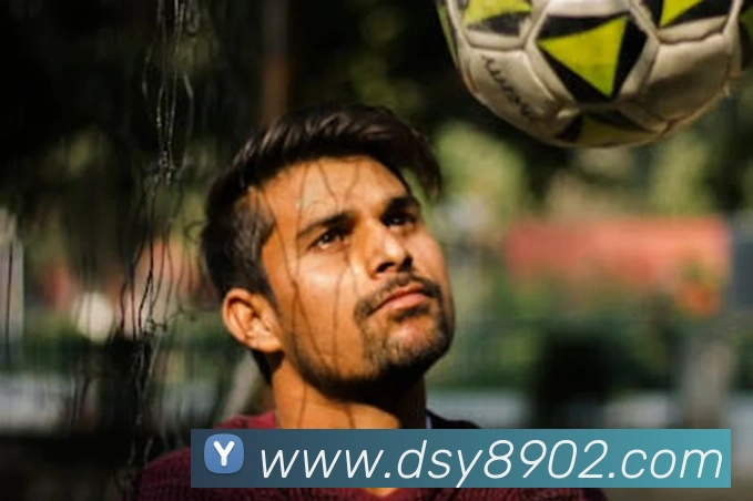 大三元官网平台登录平台生态图